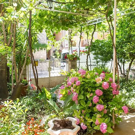 Guest house Predrag *