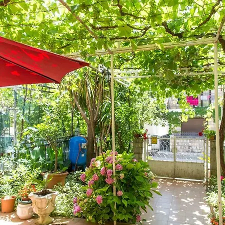 Guest house Predrag Budva